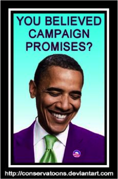 Here Is Your Chance – End Obama’s Sweeping Federal Power