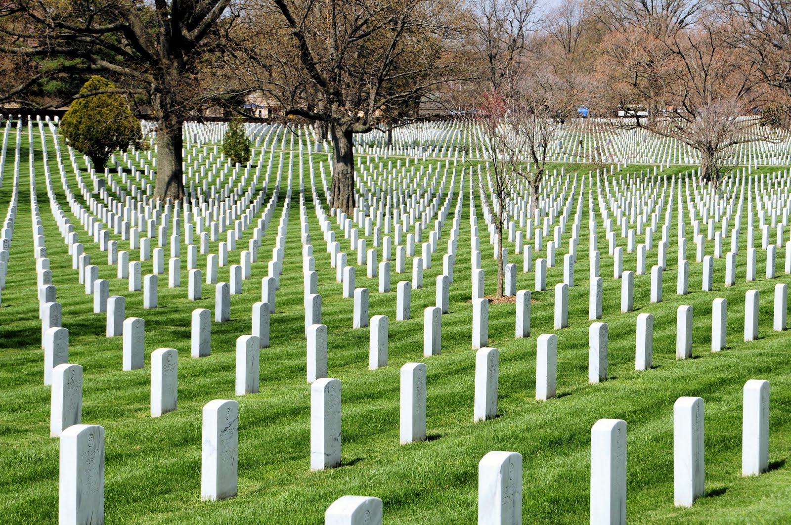 Happy Memorial Day!