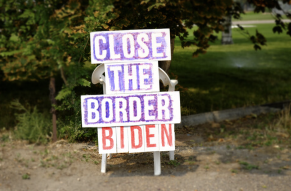 BREAKING: Congress Wants a Foreign Standing Army of Illegals! STOP The Courage To Serve Act NOW!