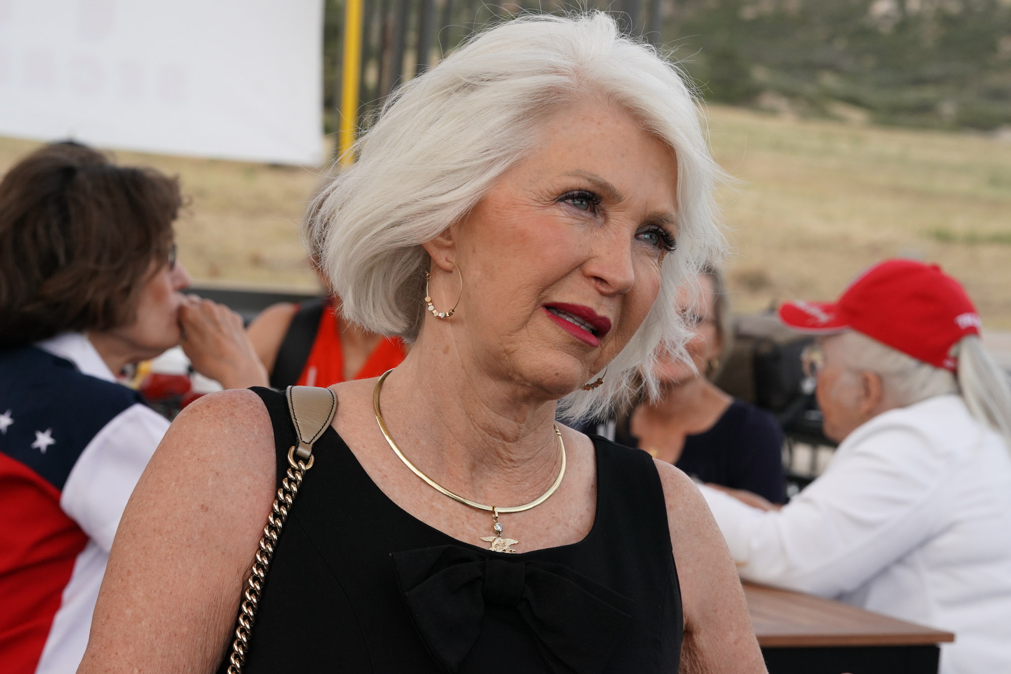 We DEMAND Tina Peters is Released.